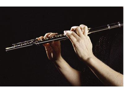 招聘驻马店长笛家教老师