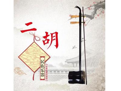 招聘驻马店二胡家教老师