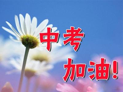 驻马店九年级家教哪里找？